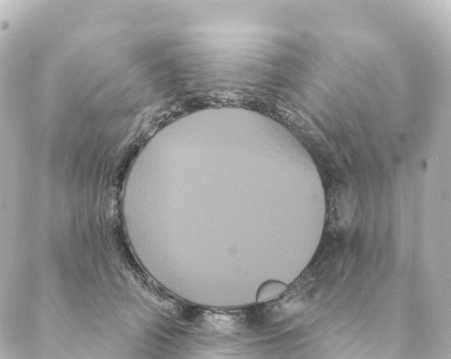 X0000088590706200706221341