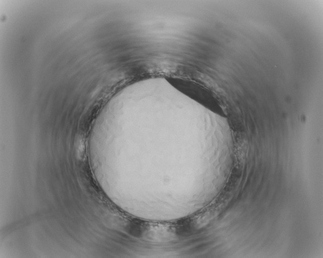 X0000088590709200706221341