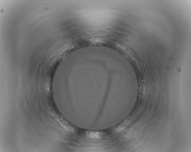 X0000088590710200706221341