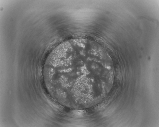 X0000088590711200706221341