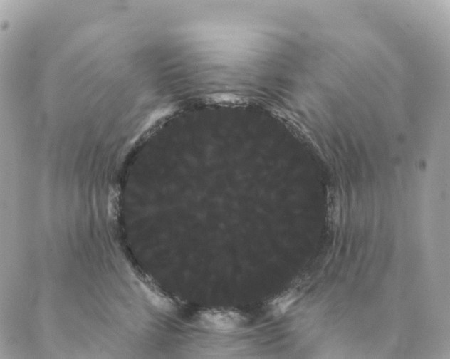 X0000088590712200706221341