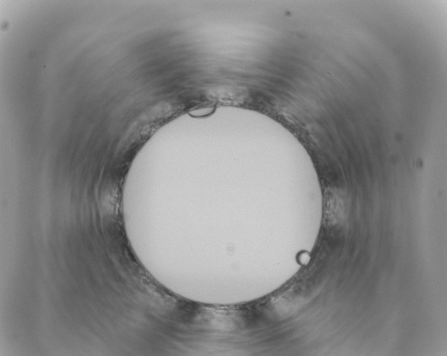 X0000088590713200706221341