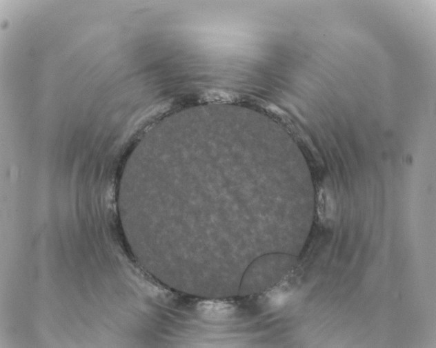 X0000088590714200706221341