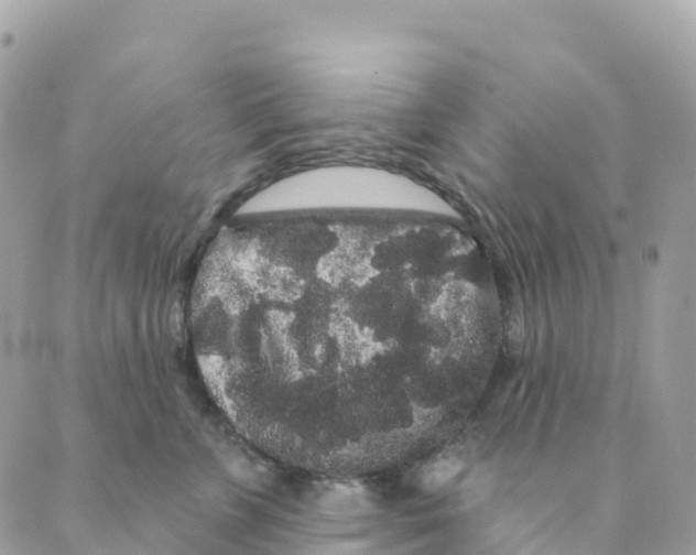 X0000088590715200706221341