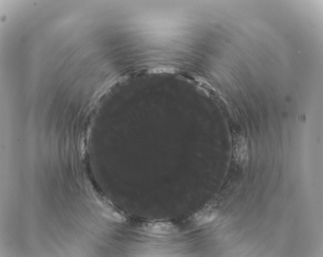 X0000088590716200706221341