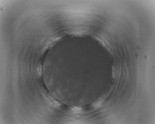 X0000088590718200706221341