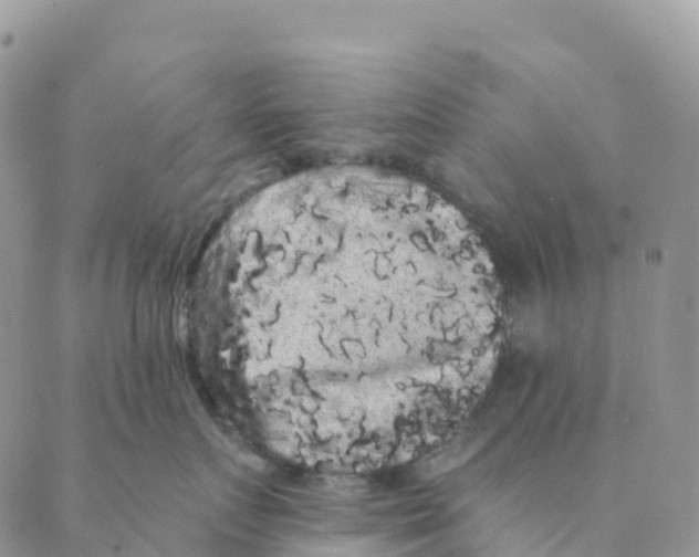 X0000088590719200706221341