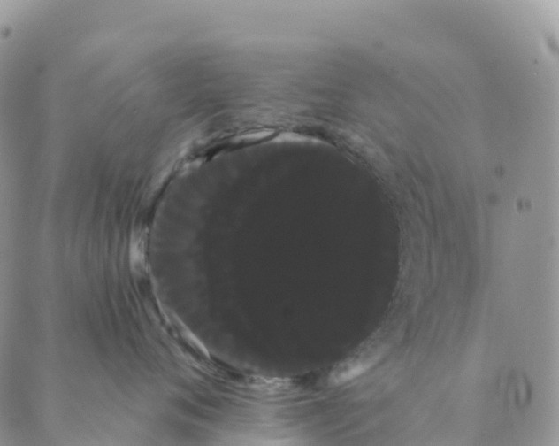 X0000088590720200706221341