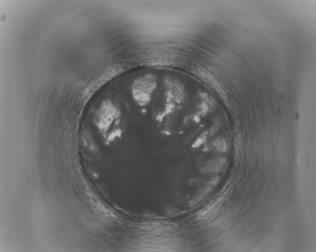 X0000088590721200706221340