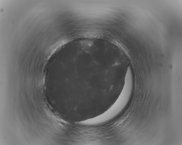 X0000088590723200706221340