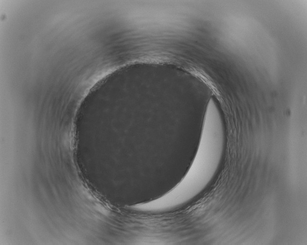 X0000088590724200706221340