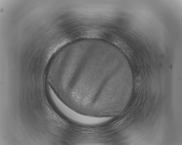 X0000088590727200706221340