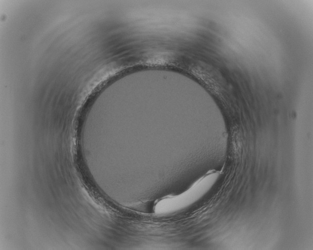 X0000088590728200706221340