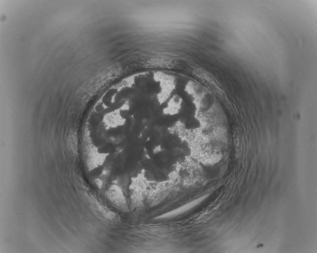 X0000088590729200706221340