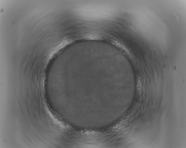 X0000088590730200706221340