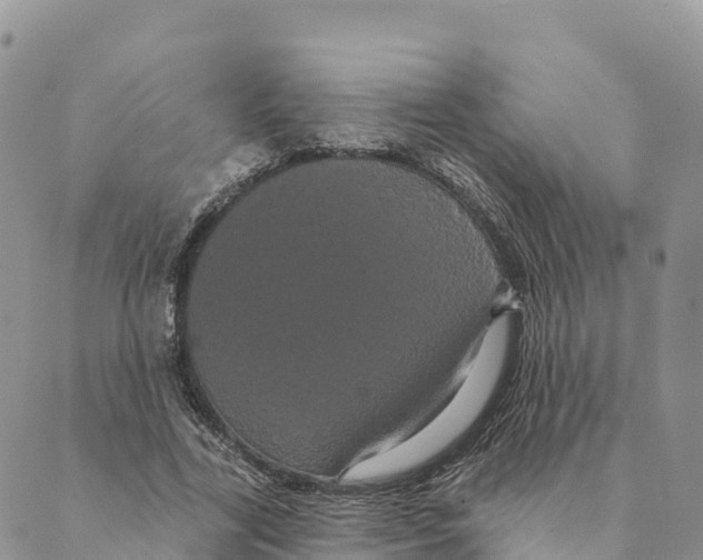 X0000088590731200706221340