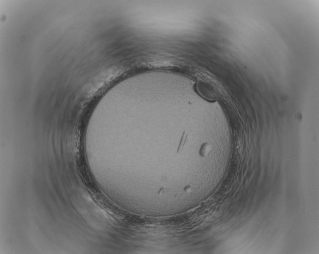 X0000088590732200706221340