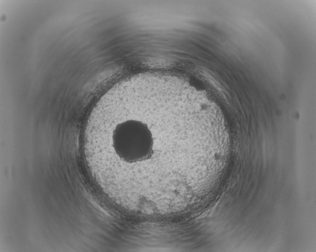 X0000088590733200706221340