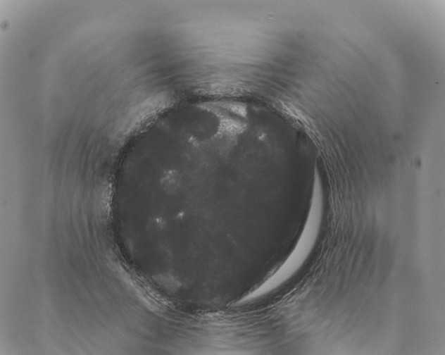 X0000088590735200706221340