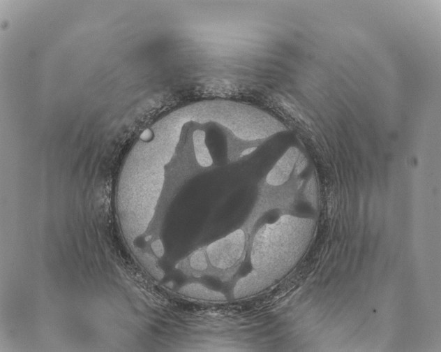 X0000088590737200706221340