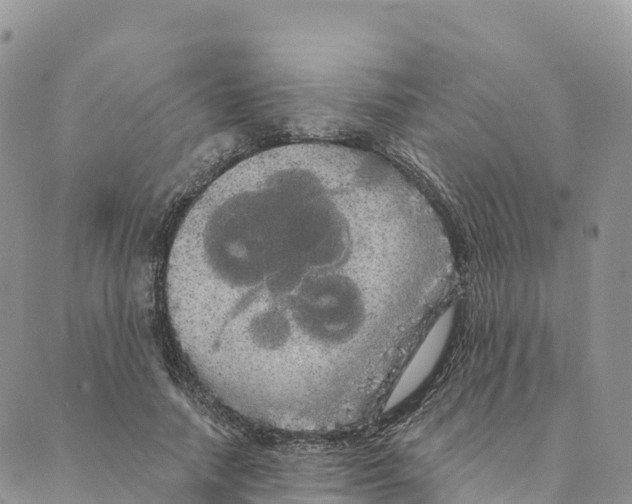 X0000088590738200706221340