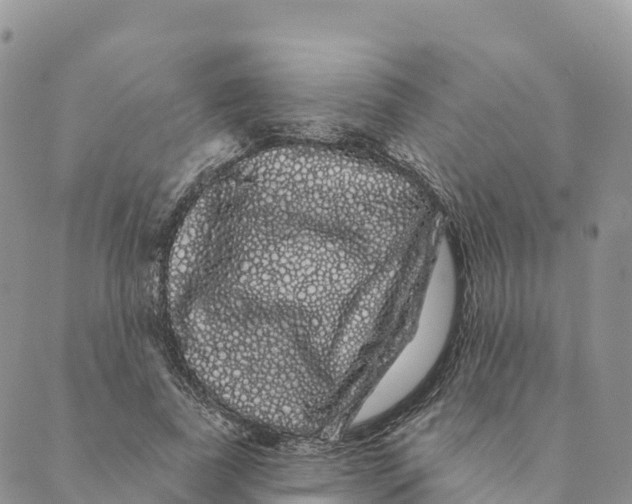 X0000088590739200706221340