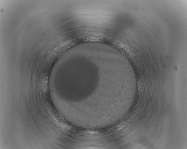 X0000088590741200706221340