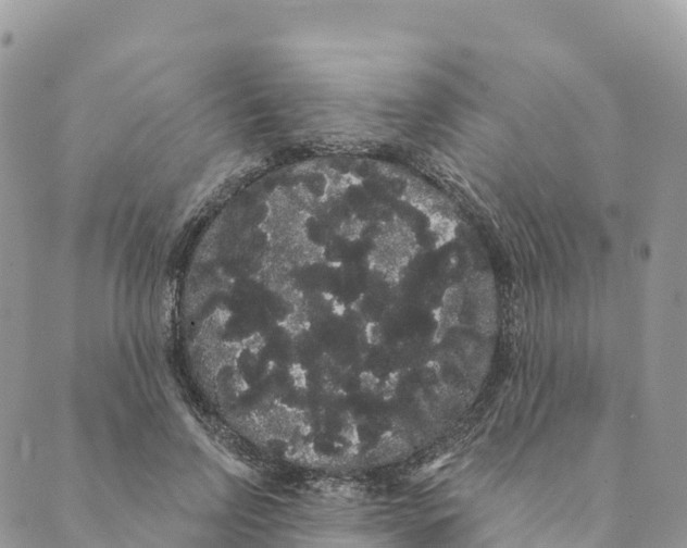 X0000088590742200706221340