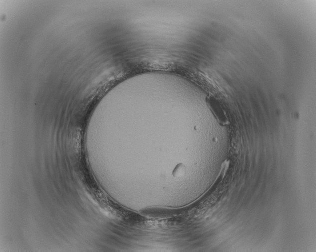 X0000088590744200706221340