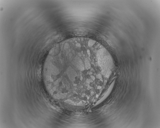 X0000088590745200706221340