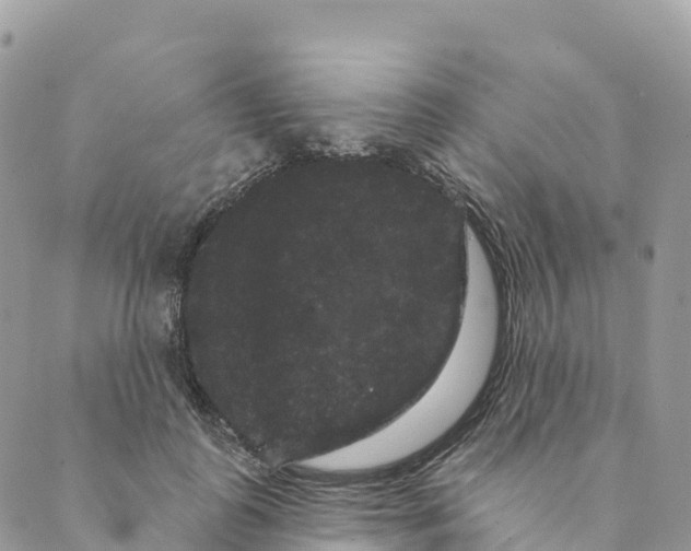 X0000088590747200706221340