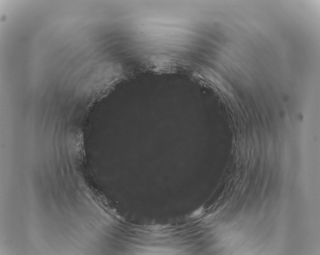 X0000088590748200706221340