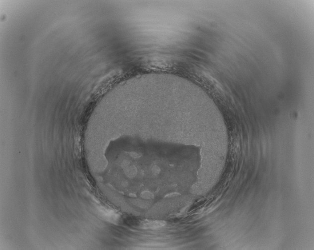 X0000088590749200706221340