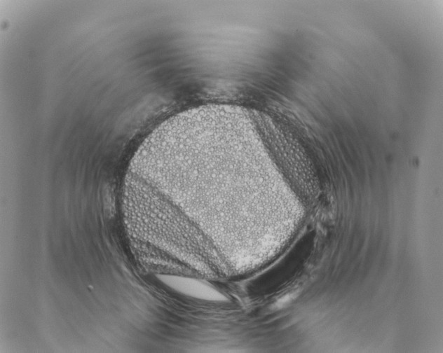 X0000088590751200706221341