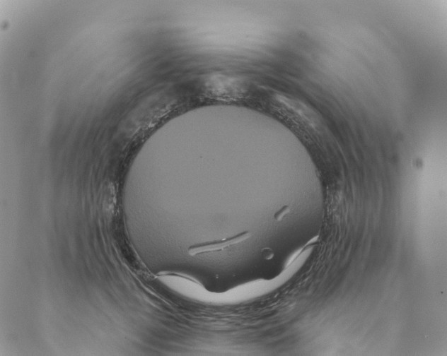 X0000088590752200706221341