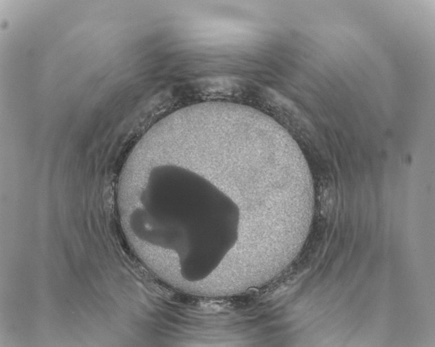 X0000088590753200706221341