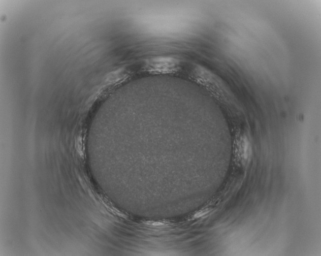 X0000088590755200706221341