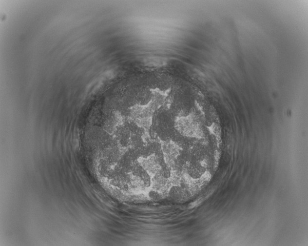 X0000088590758200706221341