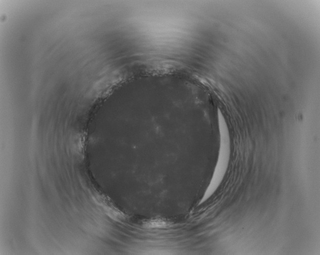 X0000088590759200706221341