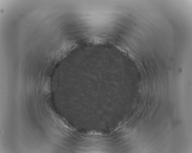 X0000088590760200706221341