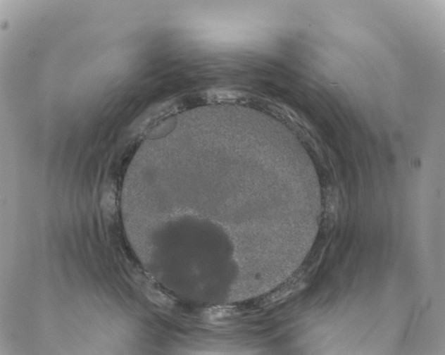 X0000088590761200706221341