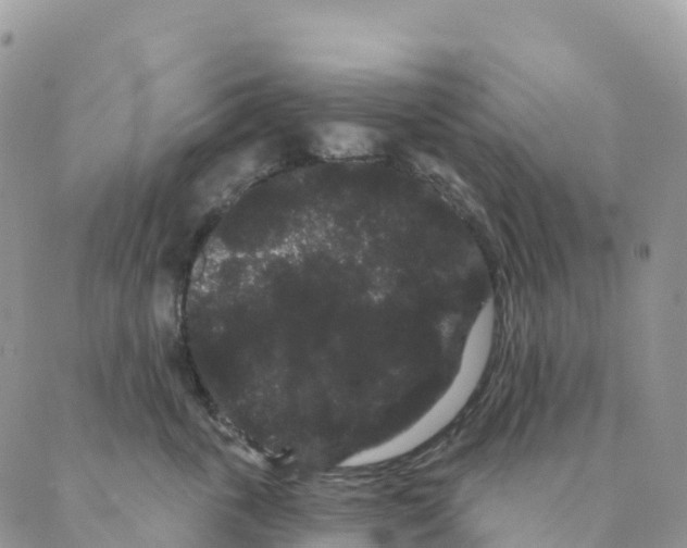 X0000088590763200706221341