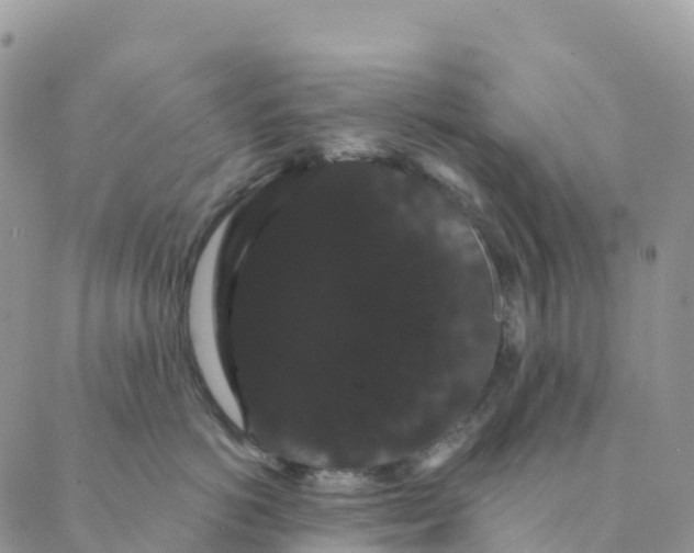 X0000088590766200706221341