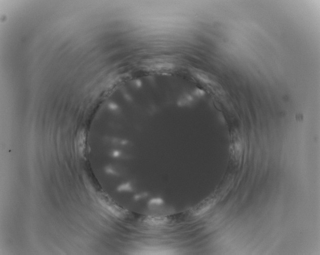 X0000088590767200706221341