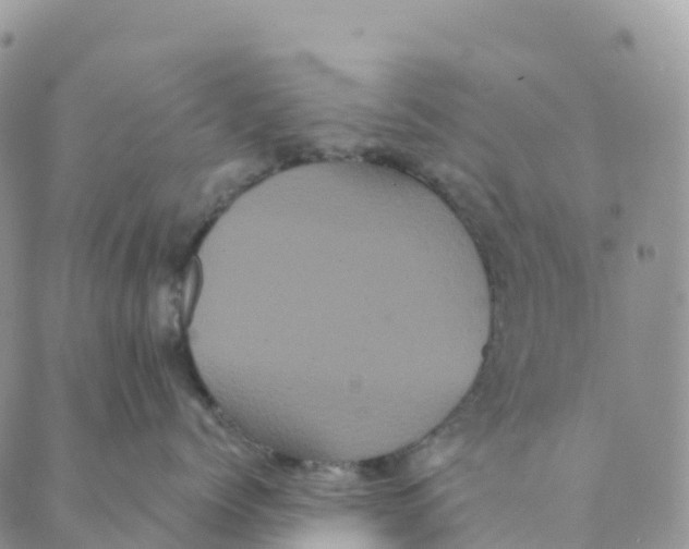 X0000088590768200706221341