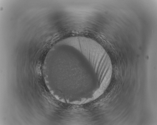 X0000088590770200706221340