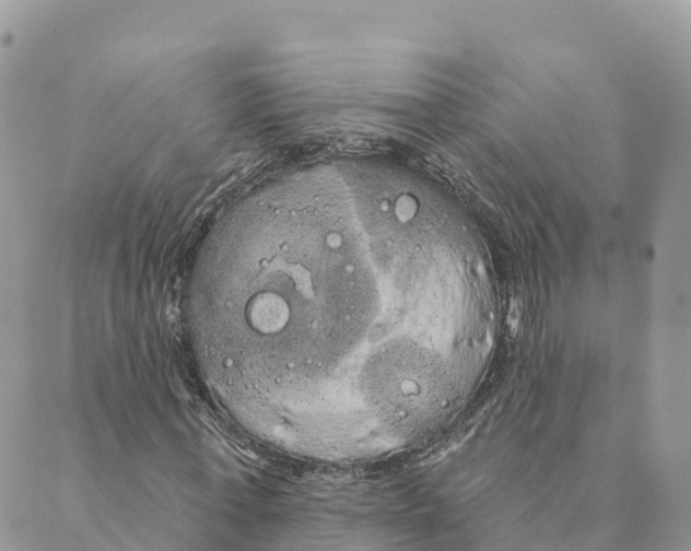 X0000088590771200706221340