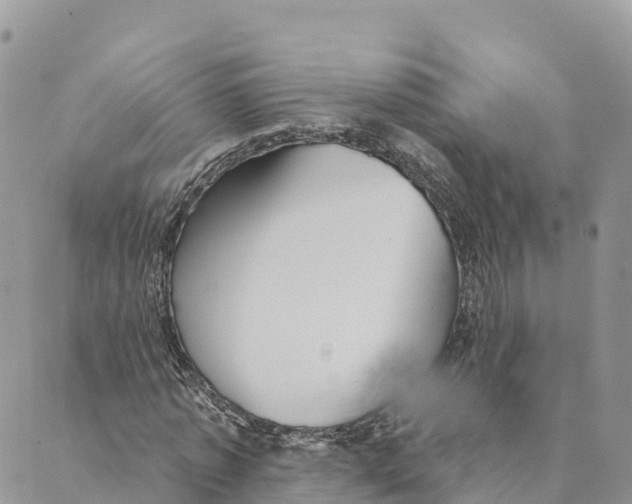 X0000088590773200706221340