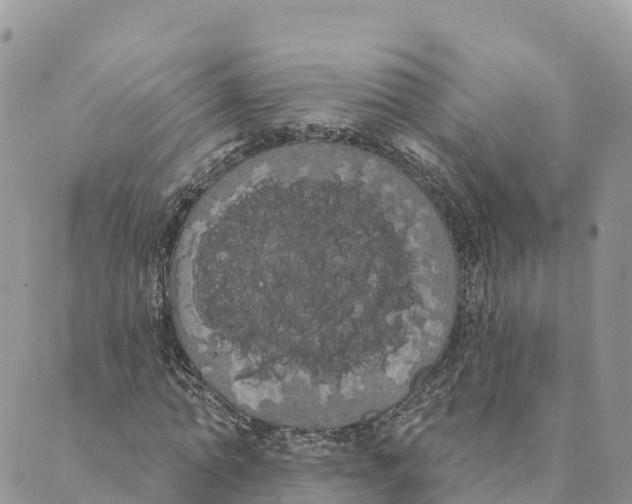 X0000088590774200706221340