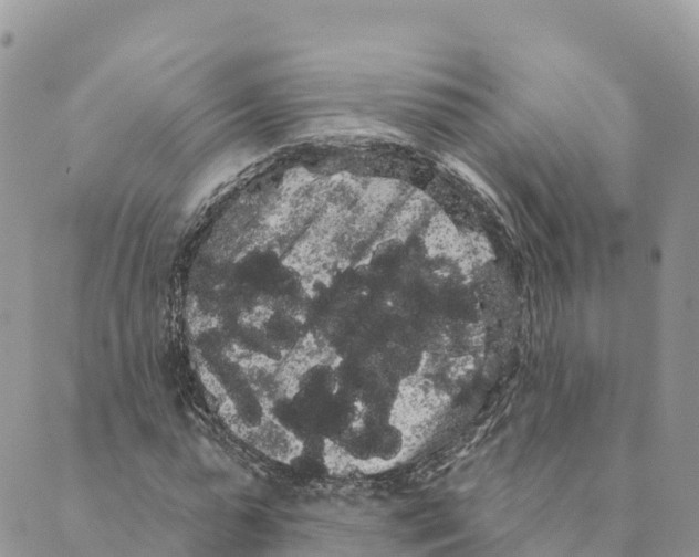 X0000088590775200706221340